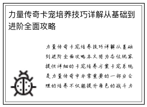 力量传奇卡宠培养技巧详解从基础到进阶全面攻略